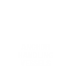 Anchor Handling Vessels